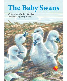 The Baby Swans