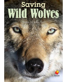 Saving Wild Wolves
