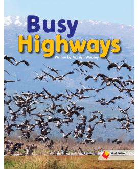 Busy Highways