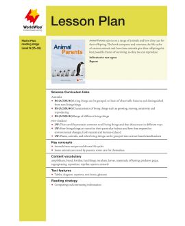 Lesson Plan - Animal Parents