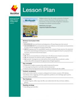 Lesson Plan - Wetlands