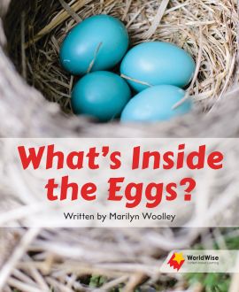What's Inside the Eggs?