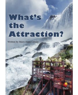 What's the Attraction?