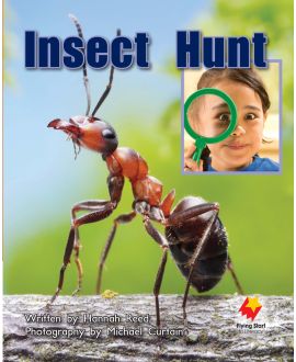 Insect Hunt