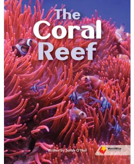 The Coral Reef