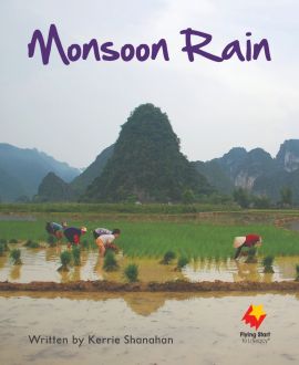 Monsoon Rain