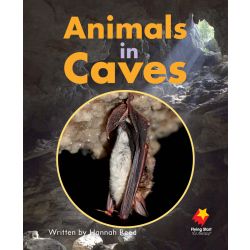 Animals in Caves