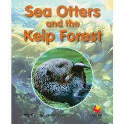 Sea Otters and the Kelp Forest
