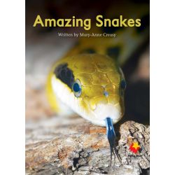 Amazing Snakes