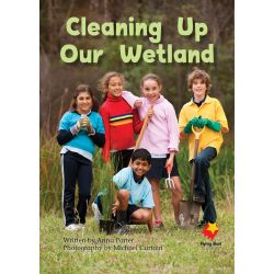Cleaning Up Our Wetlands