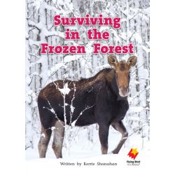 Surviving in the Frozen Forest