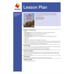 Lesson Plan - Insects on the Move