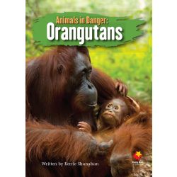Animals in Danger: Orangutans