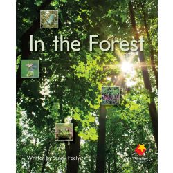 In the Forest
