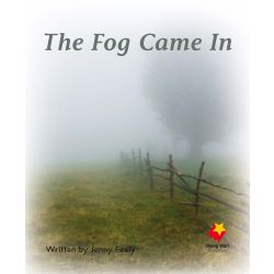 The Fog Came In