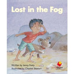 Lost in the Fog