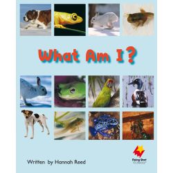 What Am I?