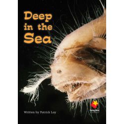Deep in the Sea