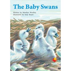 The Baby Swans