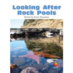 Looking After Rock Pools