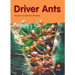 Driver Ants
