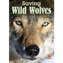 Saving Wild Wolves