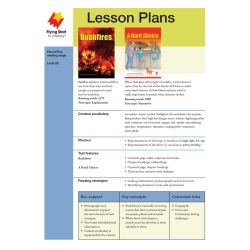 Bushfires/A Hard Choice