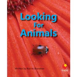 Looking for Animals