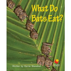 What Do Bats Eat?