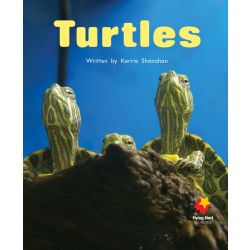 Turtles