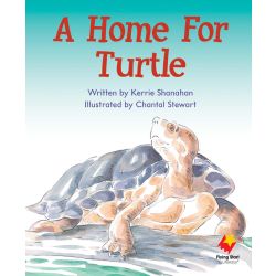 A Home For Turtle