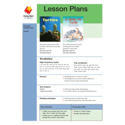 Turtles/A Home For Turtle