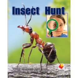 Insect Hunt