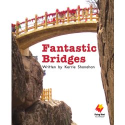 Fantastic Bridges