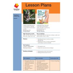 Caring For A Baby Monkey/Baby Squirrel Rescue