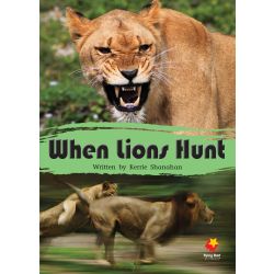 When Lions Hunt