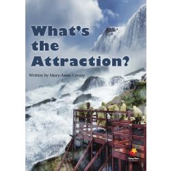 What's the Attraction?