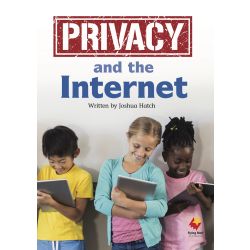 Privacy and the Internet